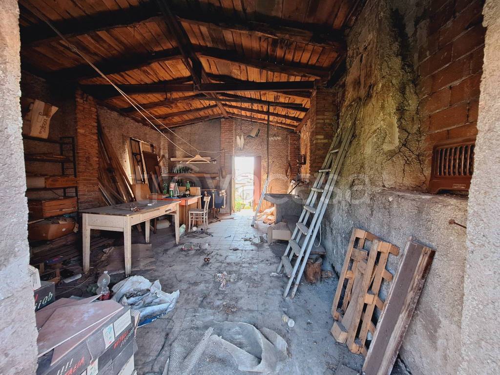 immagine annuncio 9 di 11