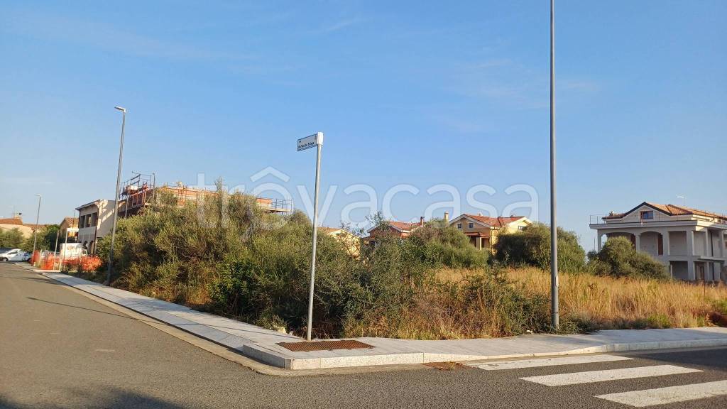 immagine annuncio 12 di 13