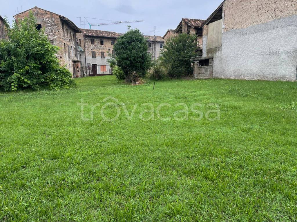 immagine annuncio 4 di 8