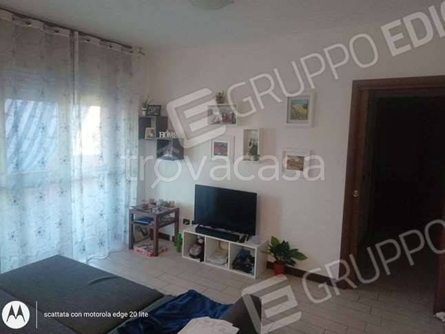 immagine annuncio 5 di 12