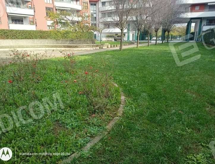 immagine annuncio 2 di 11