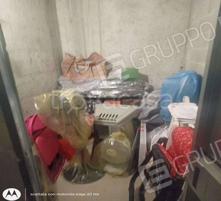immagine annuncio 11 di 14