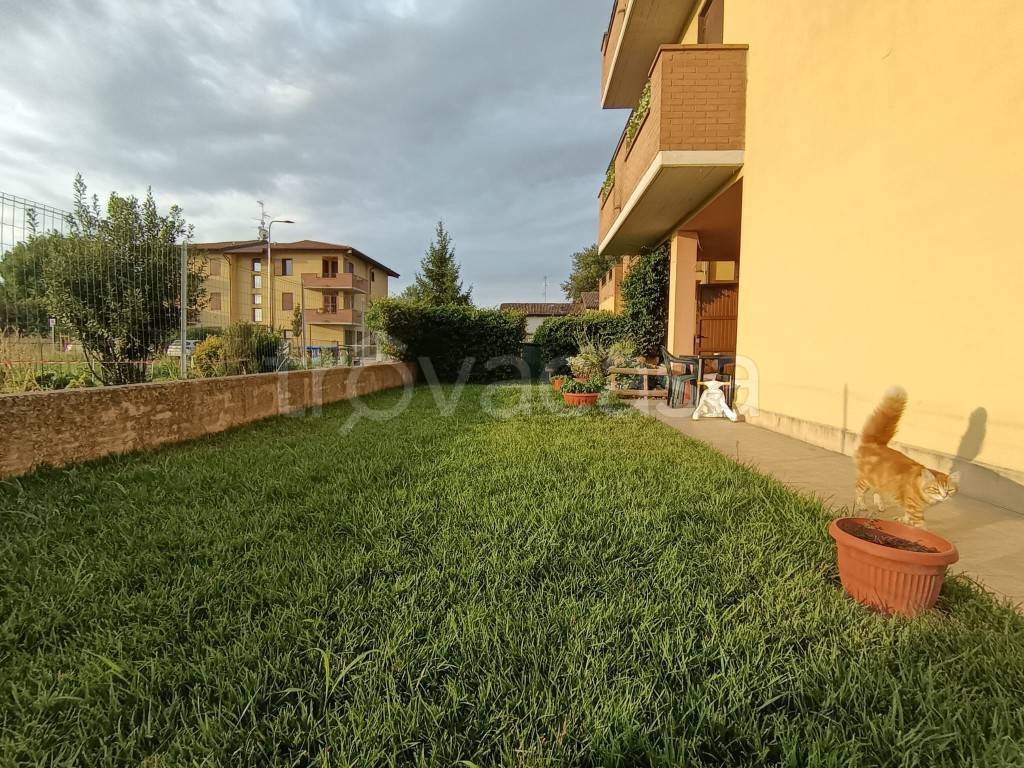 immagine annuncio 1 di 13