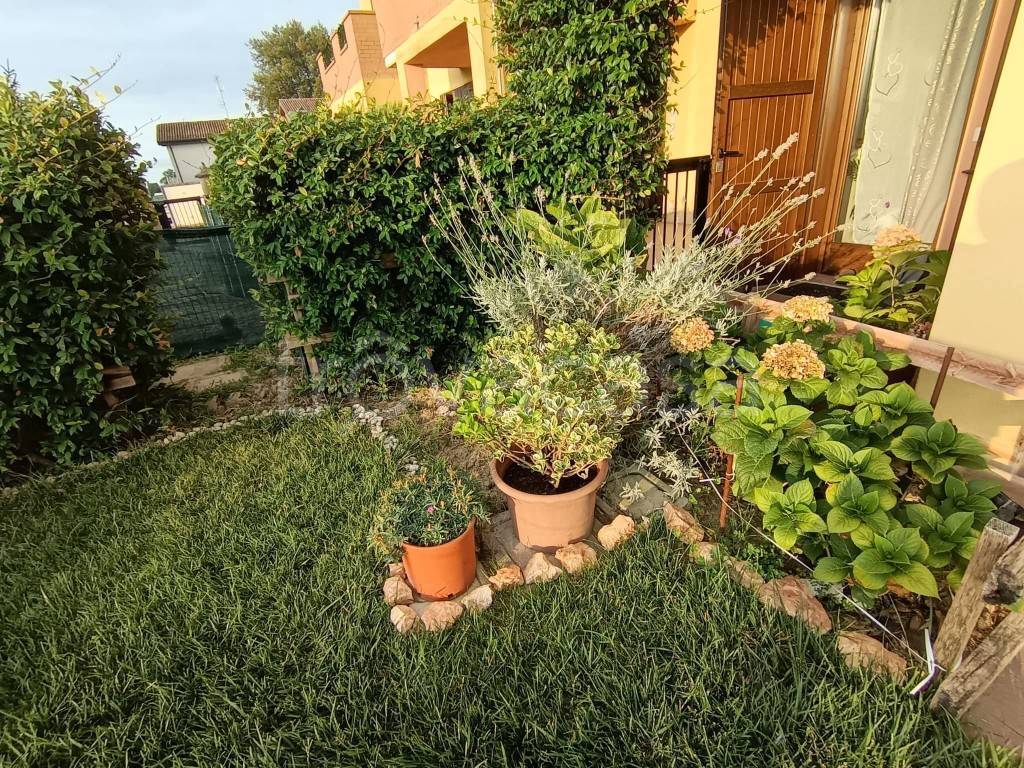 immagine annuncio 9 di 13