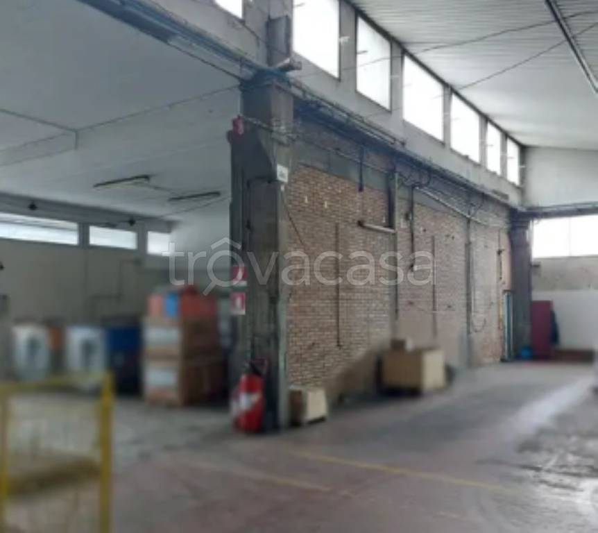 immagine annuncio 4 di 12
