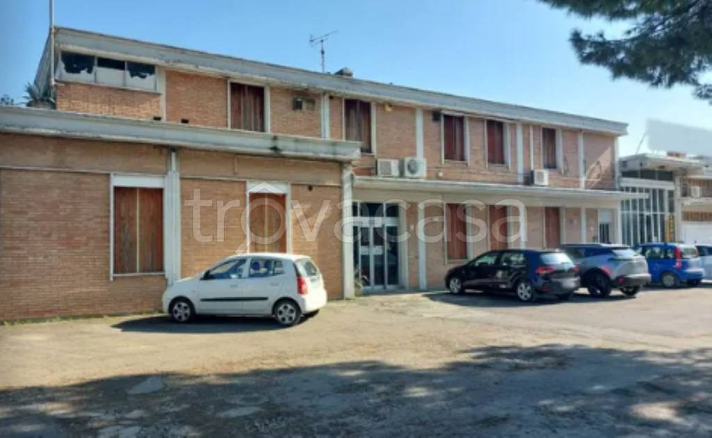 immagine annuncio 11 di 12
