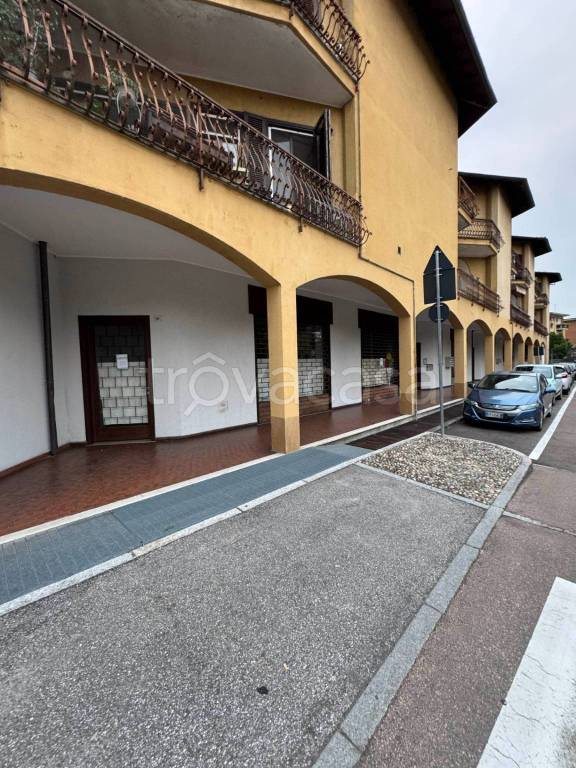 immagine annuncio 8 di 15