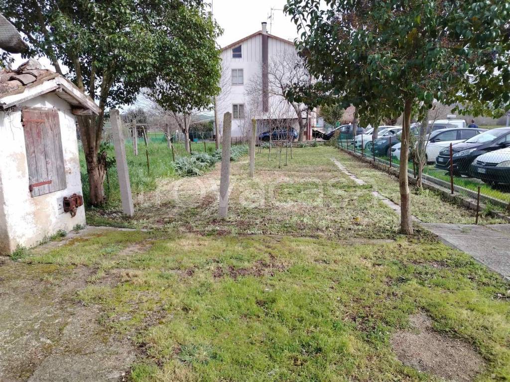 immagine annuncio 5 di 12
