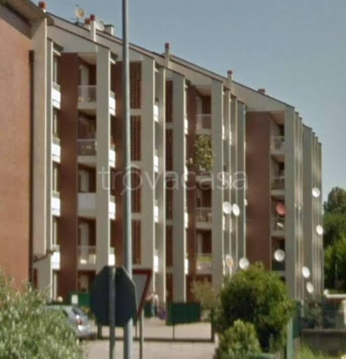 immagine annuncio 5 di 15