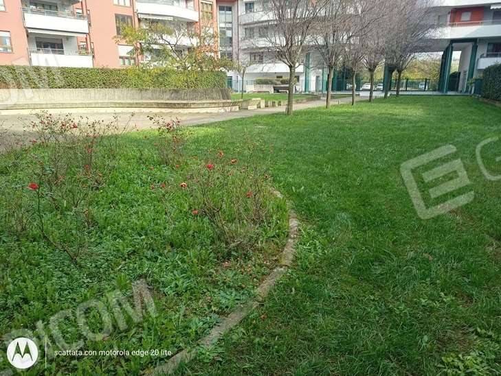 immagine annuncio 2 di 13