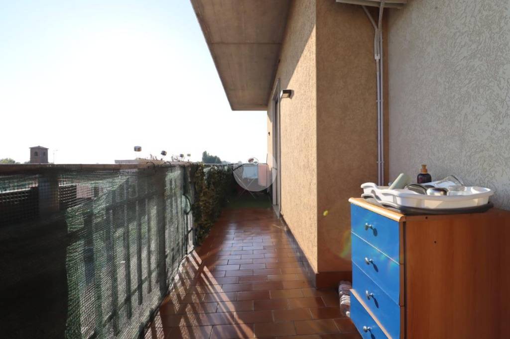 immagine annuncio 11 di 12