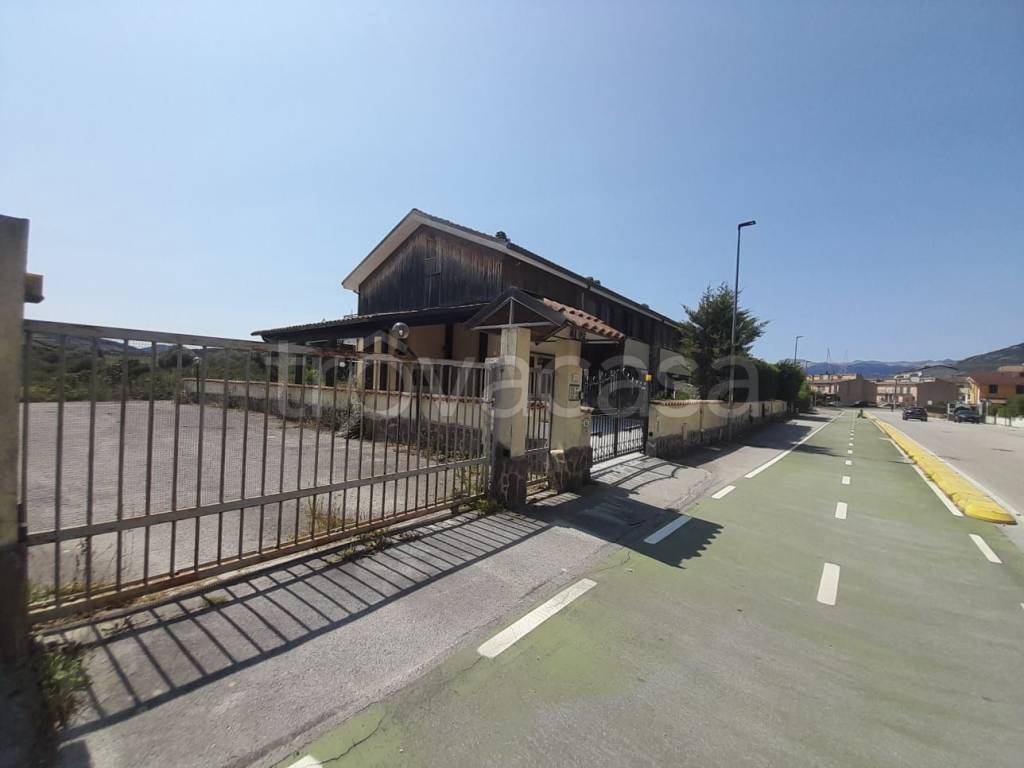 immagine annuncio 10 di 14