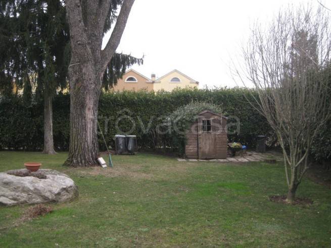 immagine annuncio 6 di 15