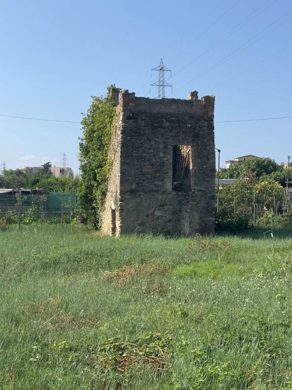 immagine annuncio 4 di 14