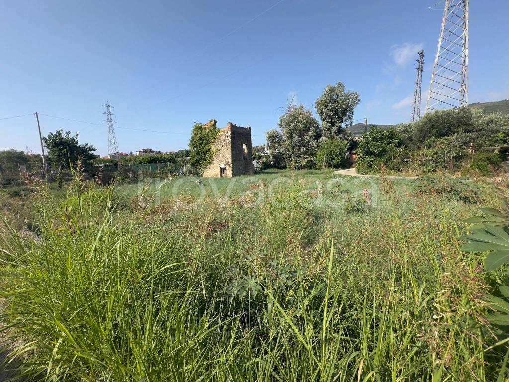 immagine annuncio 7 di 14