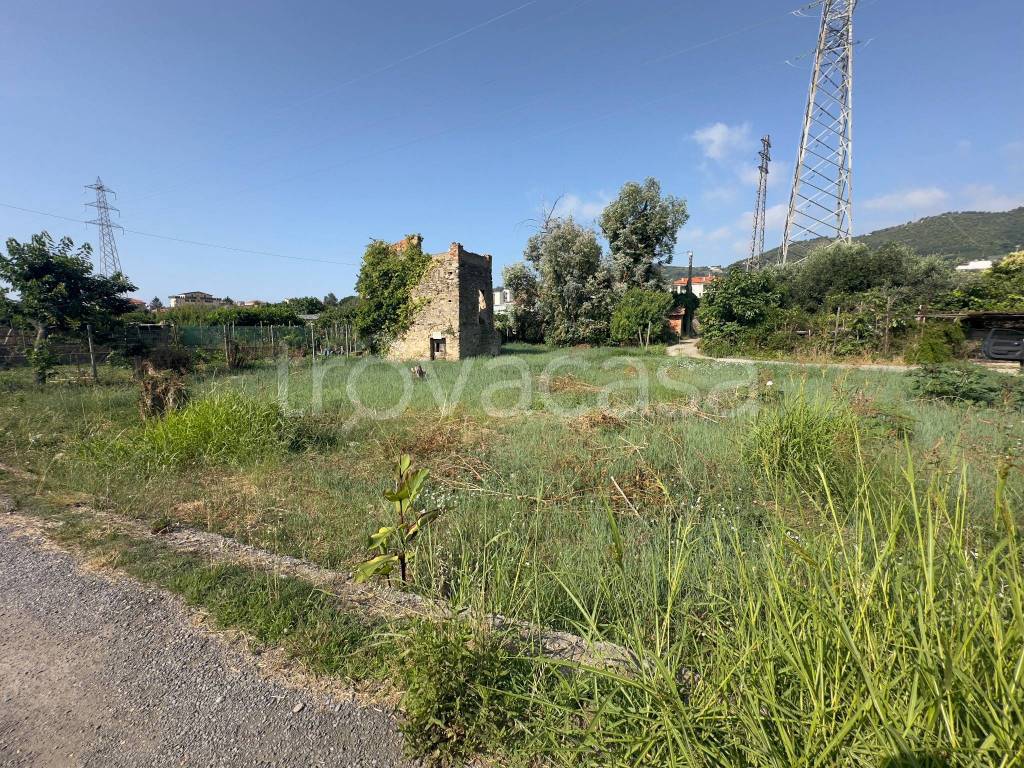 immagine annuncio 8 di 14