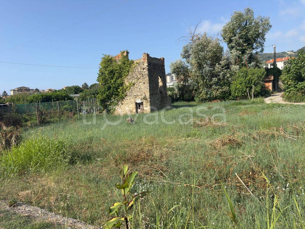 immagine annuncio 9 di 14