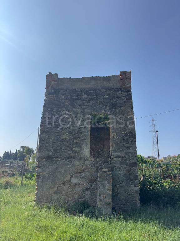 immagine annuncio 12 di 14