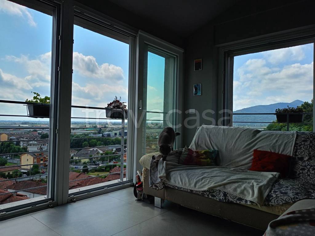 immagine annuncio 12 di 15