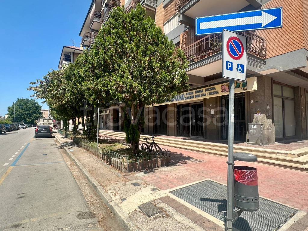immagine annuncio 4 di 11