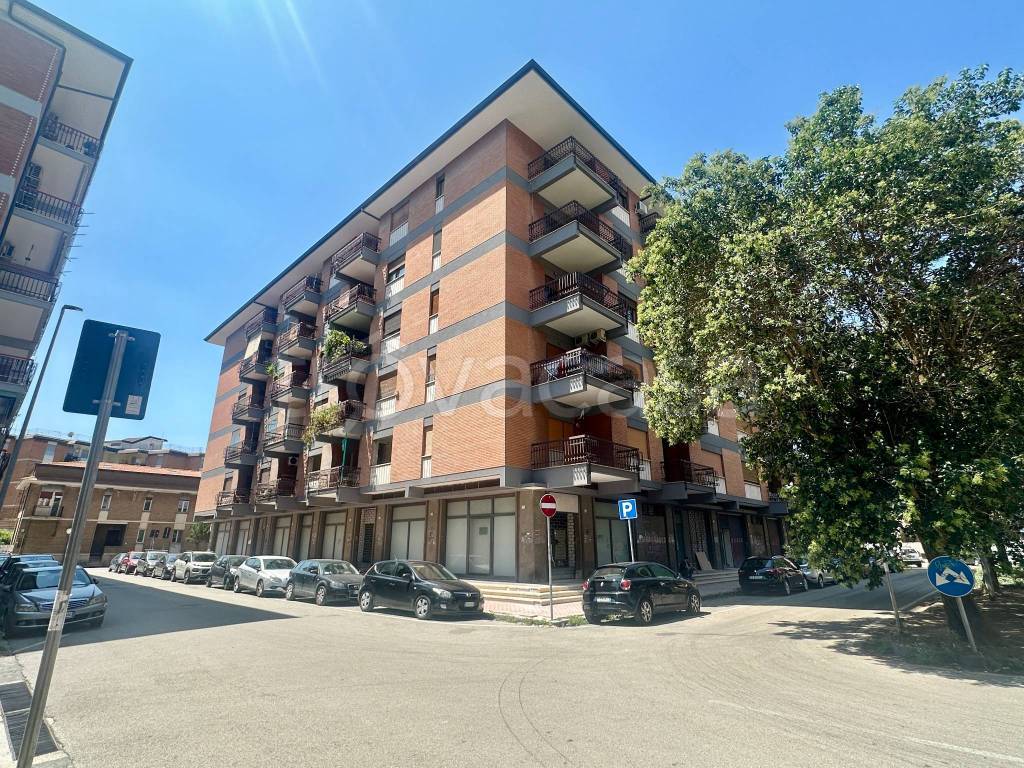 immagine annuncio 9 di 11