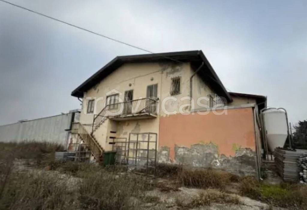 immagine annuncio 9 di 11