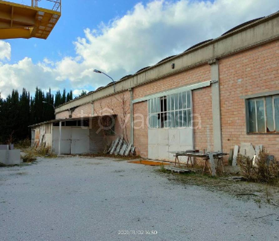 immagine annuncio 5 di 12