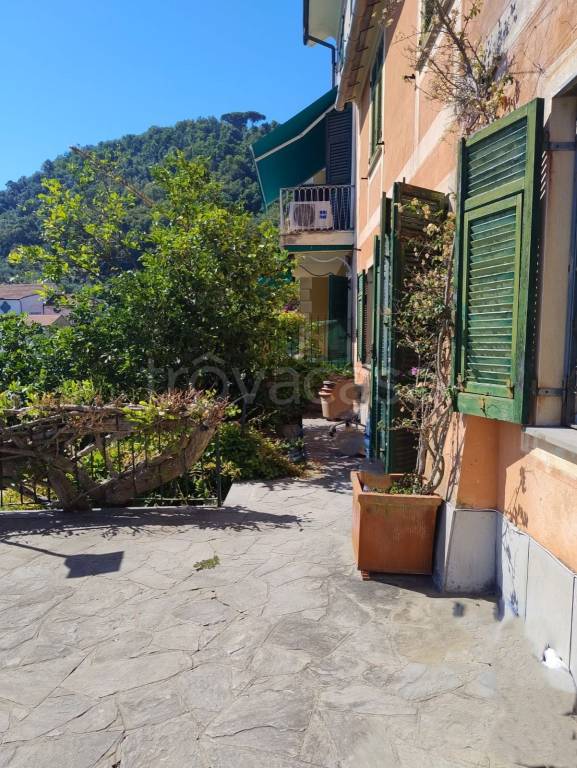 immagine annuncio 3 di 6