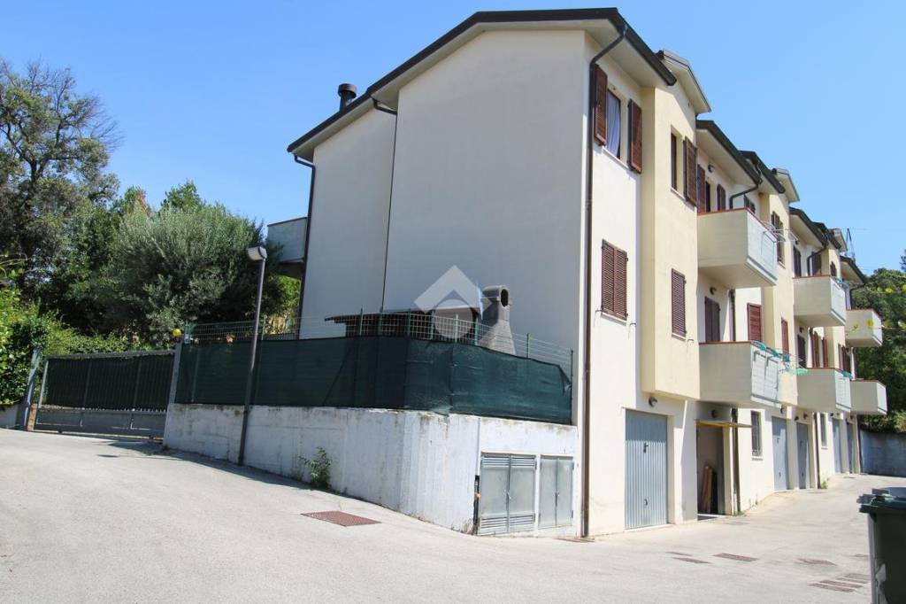immagine annuncio 12 di 14