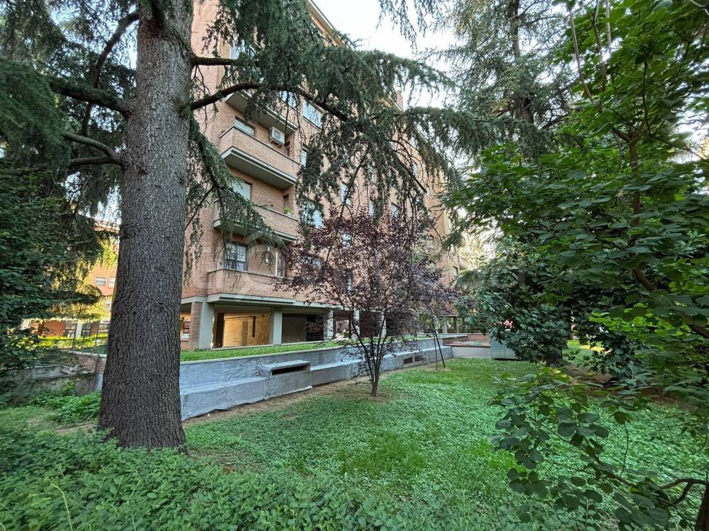 immagine annuncio 5 di 12