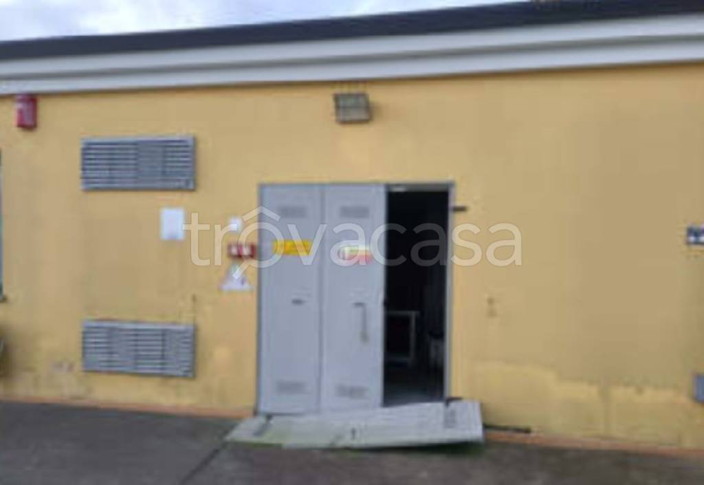 immagine annuncio 7 di 11
