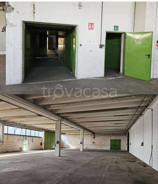 immagine annuncio 4 di 12