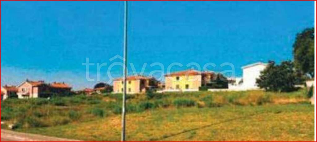 immagine annuncio 2 di 11