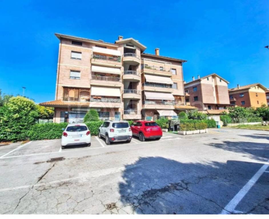 immagine annuncio 9 di 11