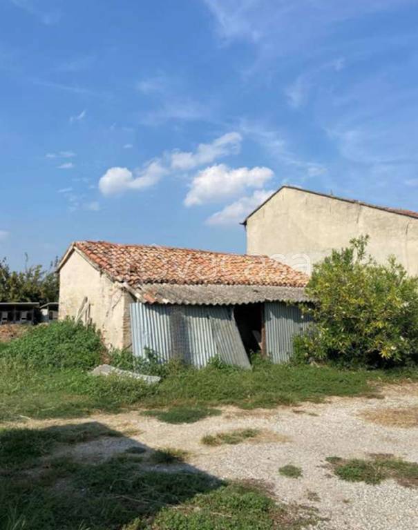 immagine annuncio 5 di 13