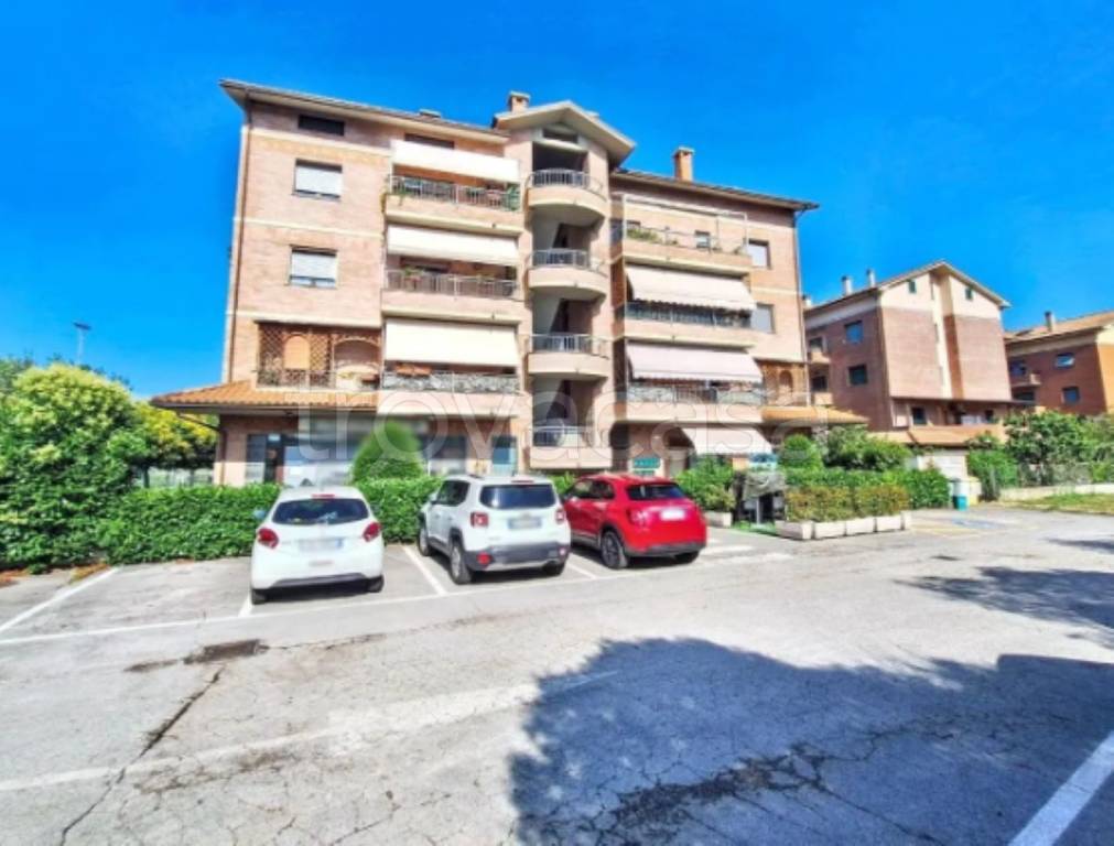 immagine annuncio 7 di 12