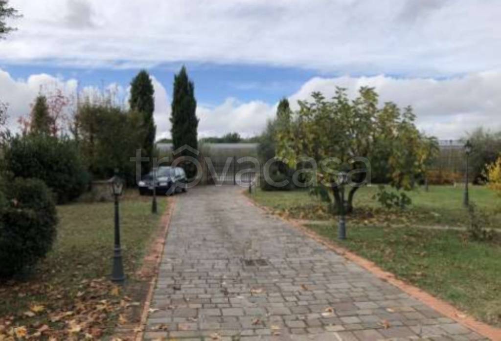 immagine annuncio 10 di 12