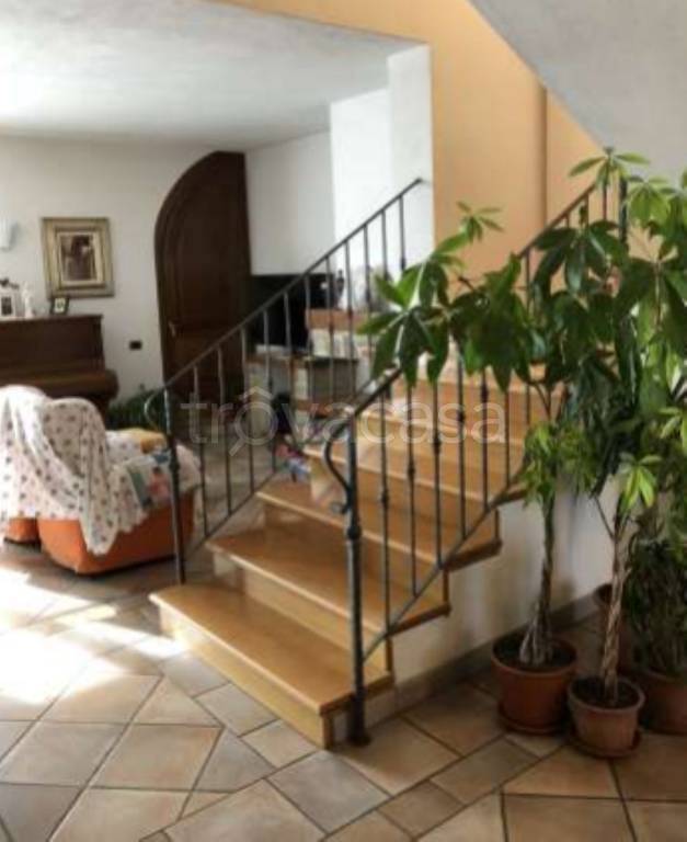 immagine annuncio 11 di 12