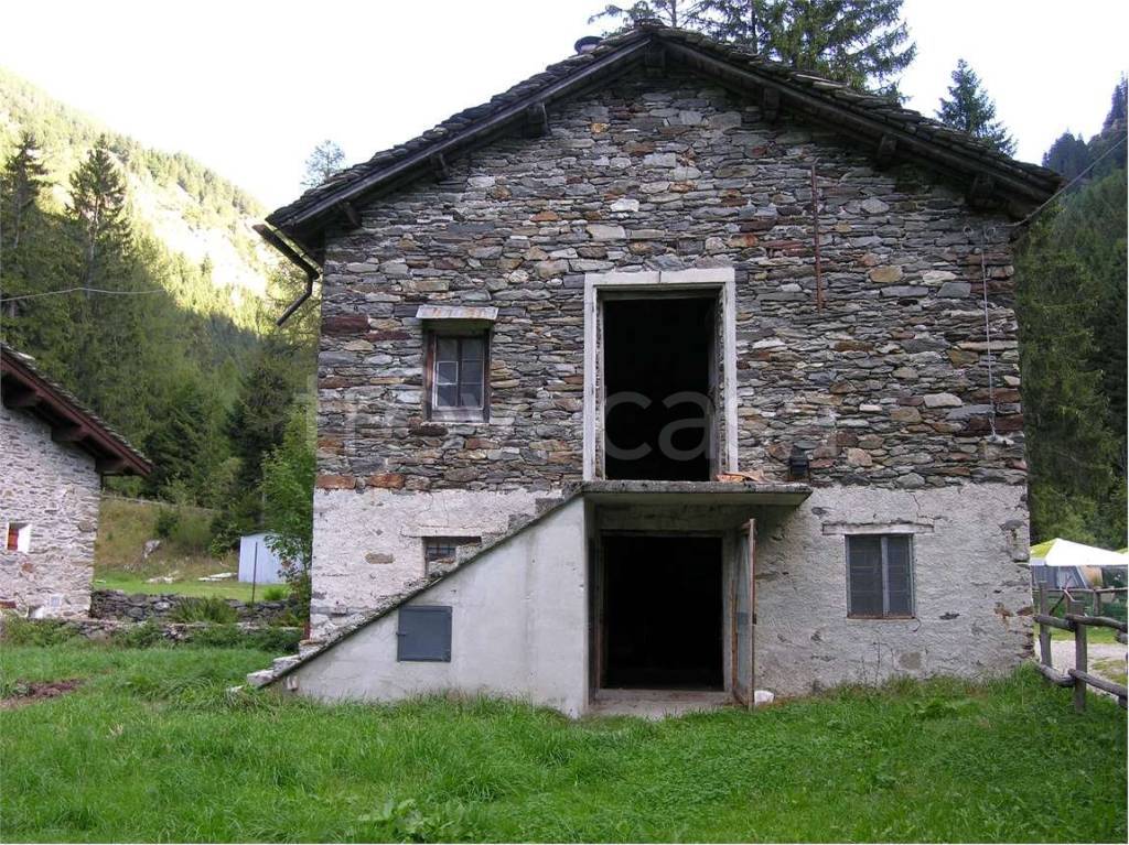 immagine annuncio 1 di 14