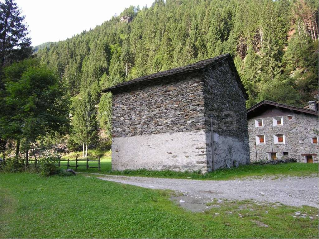 immagine annuncio 2 di 14