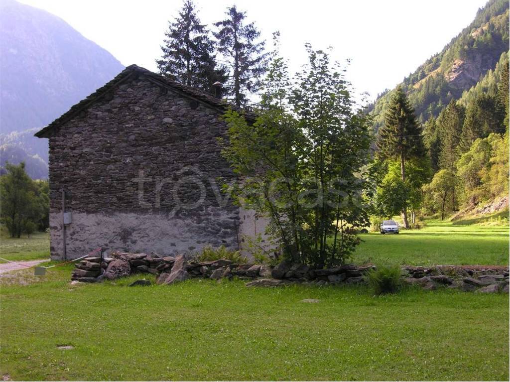 immagine annuncio 3 di 14