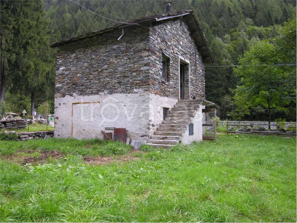 immagine annuncio 4 di 14