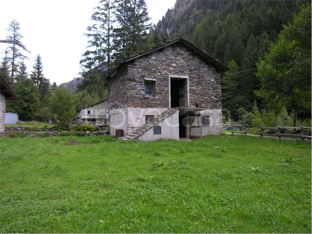 immagine annuncio 5 di 14