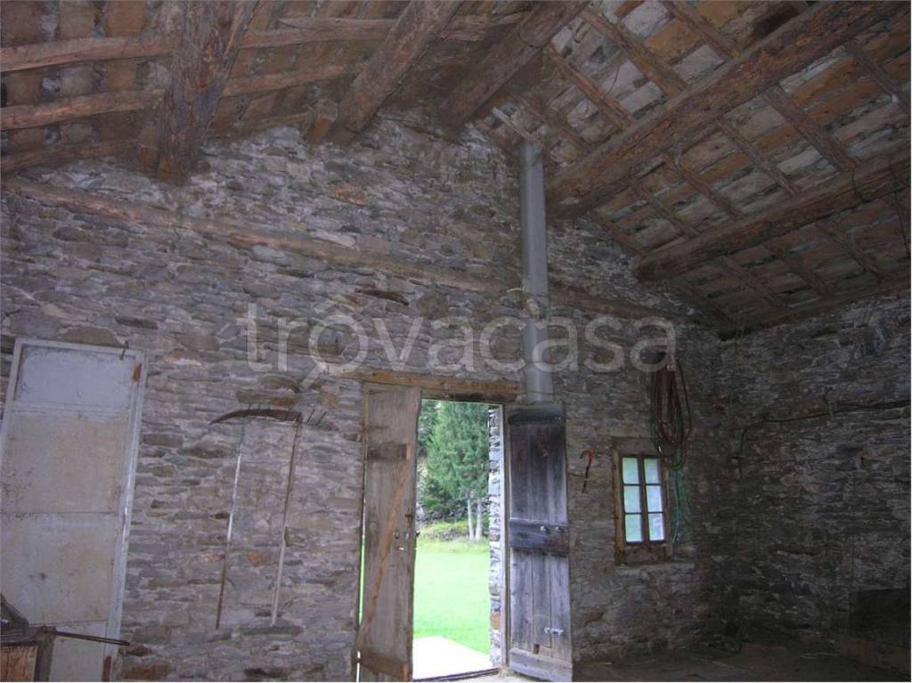 immagine annuncio 11 di 14
