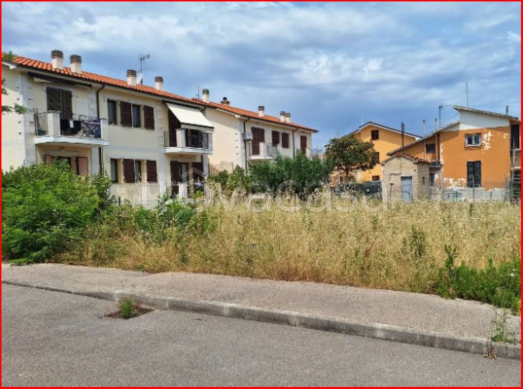 immagine annuncio 3 di 12