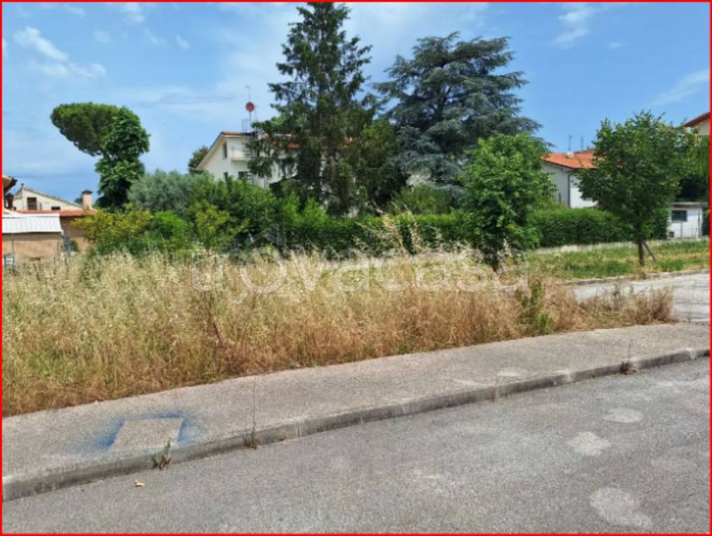 immagine annuncio 4 di 12