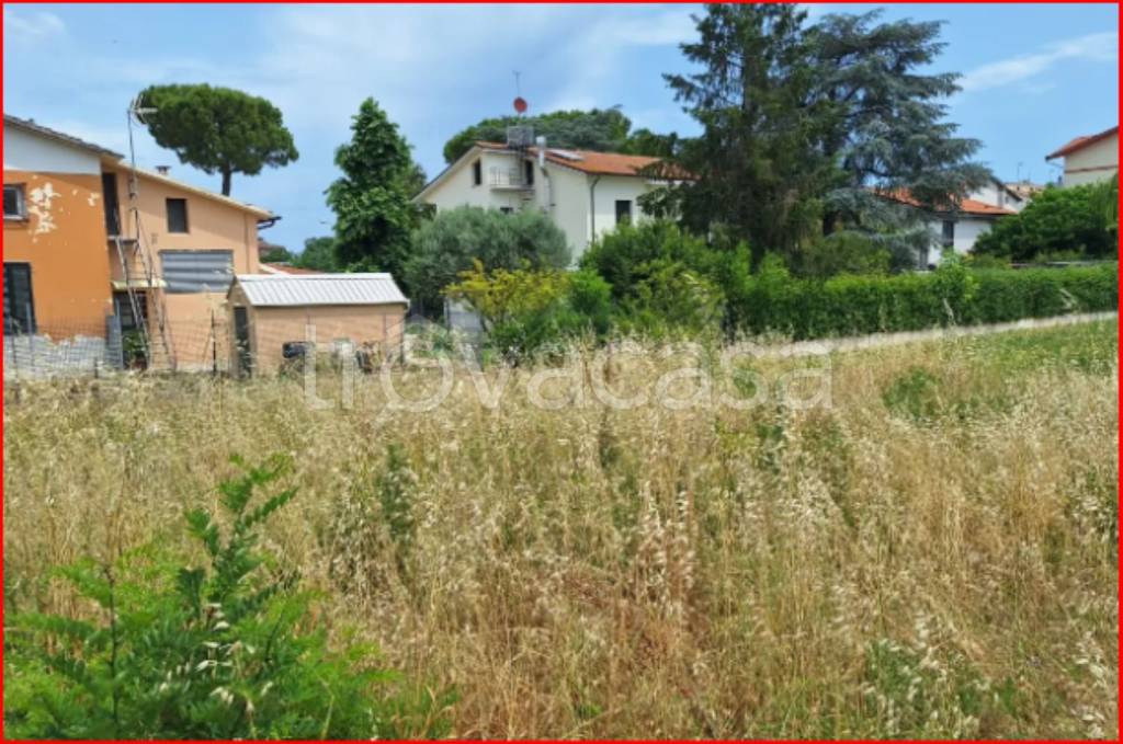 immagine annuncio 5 di 12