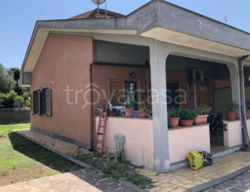 immagine annuncio 9 di 11