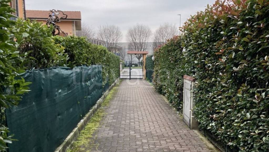 immagine annuncio 4 di 15