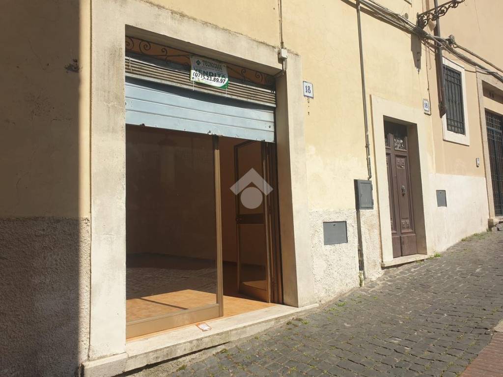immagine annuncio 2 di 13